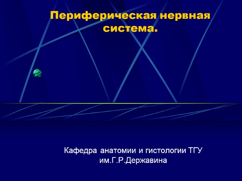 Периферическая нервная система. Кафедра анатомии и гистологии ТГУ им.Г.Р.Державина